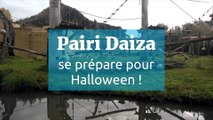 Pairi Daiza se prépare pour Halloween !