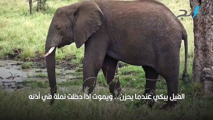 معلومات مرعبة لا يعرفها 90% من البشر-