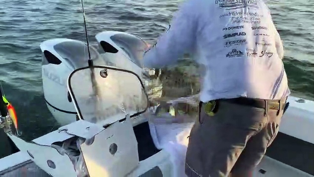 Catching Pinfish for Bait