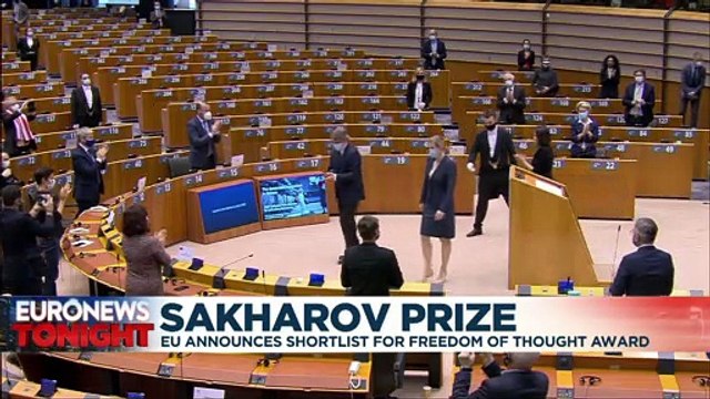 Sakharov Prize: Alexei Navalny & Jeanine Anez on EU shortlist for human rights award