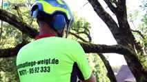 Baumpflege Mario Weigl in Trostberg – Ihr Profi von der Pflanzung bis zur Rodung
