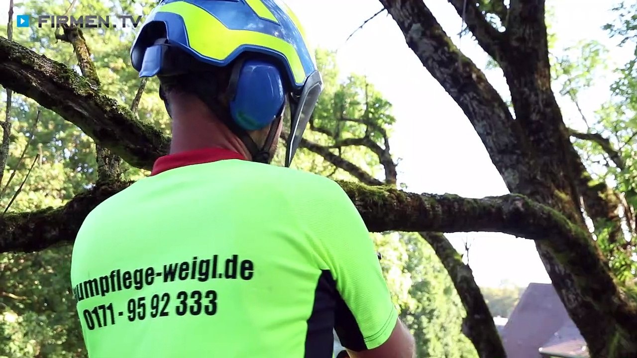 Baumpflege Mario Weigl in Trostberg – Ihr Profi von der Pflanzung bis zur Rodung