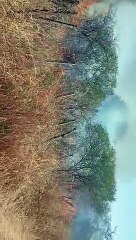 Incendio campo Bañado de Ovanta