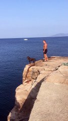 Dog Cliff Dives into Water