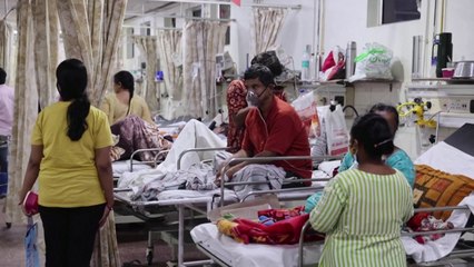 파우치 "보건전문가들, 델타 능가하는 변이 안 나올 걸로 예상" / YTN