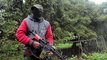 Why armed vigilantes are patrolling avocado farms in Mexico