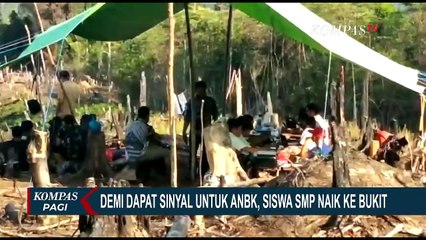 Demi Dapat Sinyal Saat ANBK, Siswa SMP di Wilayah Perbatasan Rela Menginap di Bukit