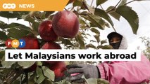 Don’t limit opportunities for Malaysians to find well-paying jobs abroad, say economists