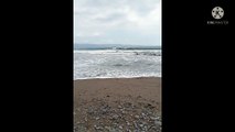Pantai pelabuhan ratu sukabumi