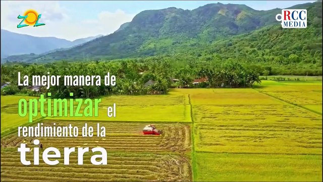 Consuelo Despradel: La politización en la Asociación Dominicana de Profesores