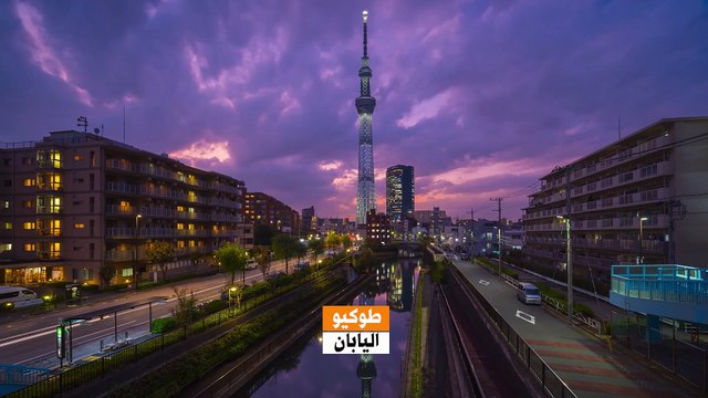 هوايات من عالم آخر: من صناديق كرتونية إلى منحوتات فنية