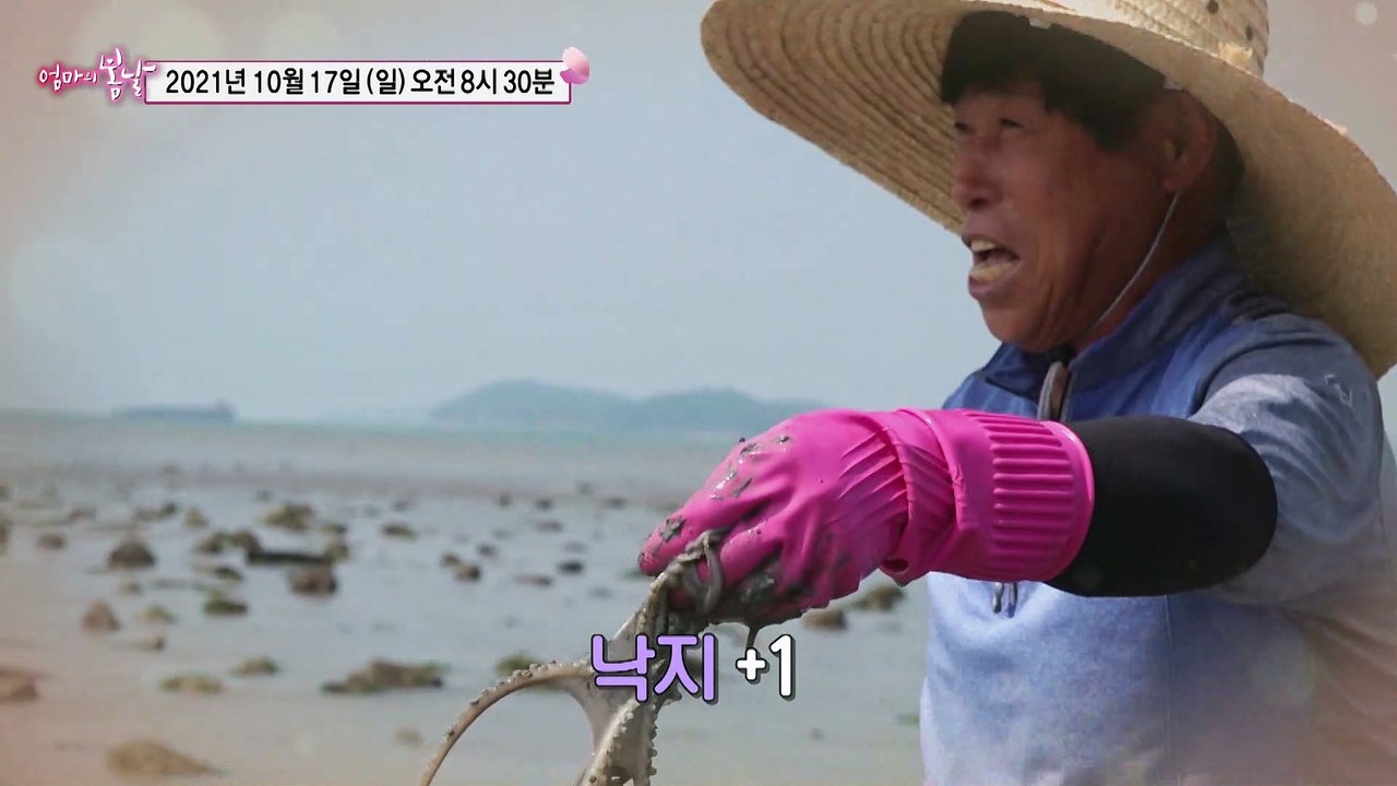 종숙 엄마의 갯벌에서 키운 사랑_엄마의 봄날 318회 예고 TV CHOSUN 2110...