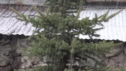 Etkili olan dolu çevreyi beyaza bürüdü