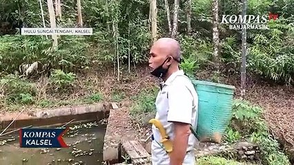 Pemkab HST Berencana Pembangunan Kolam Pengendali Banjir Senilai 280 Miliar