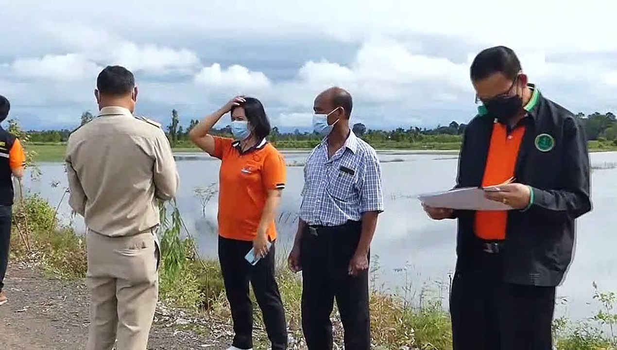 ศรีสะเกษ น้ำท่วมนาข้าวเสียหายกว่า 149,500 ไร่ ครอบคลุม 18 อำเภอ เกษตรจังหวัดเร่งสำรวจนาข้าวเสียหาย