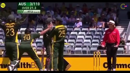 Top 7 Funny  Moments in Cricket Ever -- Funny Cricket videos