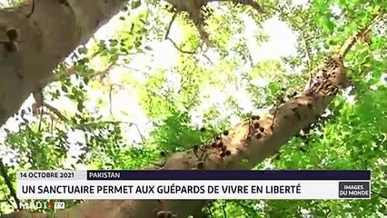 Images du Monde - 15/10/2021