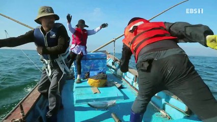 한국기행 - Korea travel_이곳에서 잠시만 쉼표 5부- 쉬어도 좋아요_#001