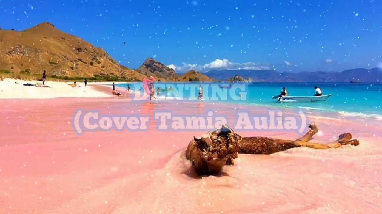 DENTING - Cover Tami Aulia (Lirik lagu)