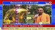 Dussehra 2021 _ Ravan Dahan to be held at ISKCON temple today, Ahmedabad _ TV9News