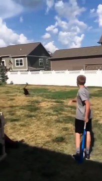 Il lance un ballon de Baseball directement au visage de son ami !