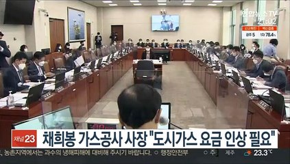 채희봉 가스공사 사장 "도시가스 요금 인상 필요"