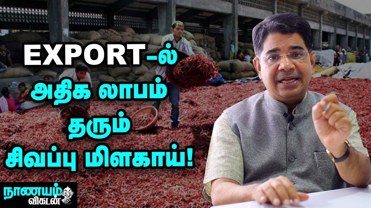 மிளகாய் ஏற்றுமதி... கவனிக்க வேண்டிய விஷயங்கள் என்னென்ன? | Chilli Export | Nanayam Vikatan