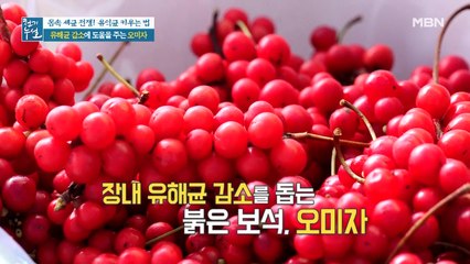 장내 유해균 감소를 돕는 붉은 보석 '오미자'