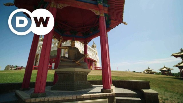 Europe to the Max : Coffee from Gran Canaria