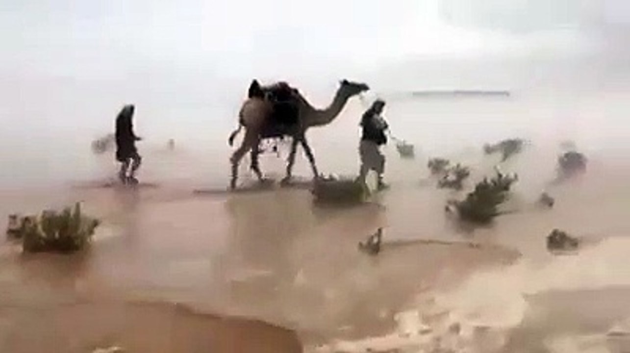 شتاء البادية
