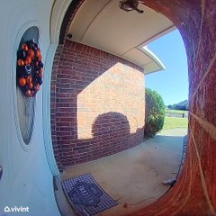 Kiddo Gets Spooked by Halloween Decoration