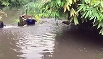 Raw sewage bursting through a drain in a Warwick couple's garden