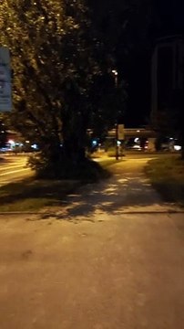 Grenoble Octobre 2021 #France #Isère #grenoble #grenoblecity #grenobletourisme #grenoblealpesmetropole #grenoblelife (79)