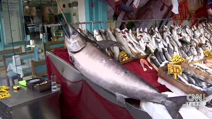 Boğaz'da 50 yıl sonra kılıç balığı yakalandı