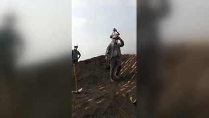 La batalla perdida contra la ceniza