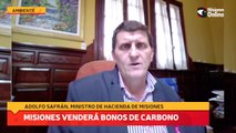 Misiones venderá bonos de carbono