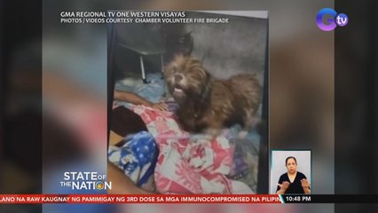 9 na aso, patay sa sunog sa Bacolod City| SONA