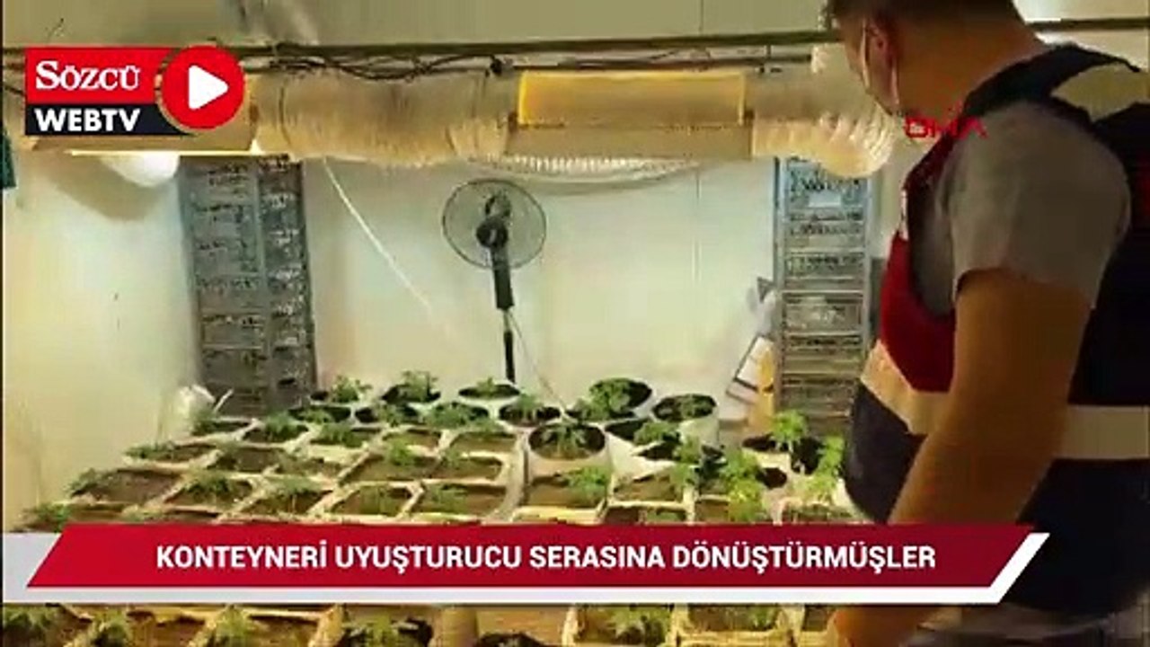Konteyneri uyuşturucu serasına dönüştürmüşler