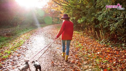 Sonbahar depresyonu nedir? Depresyona karşı en etkili çözümler...