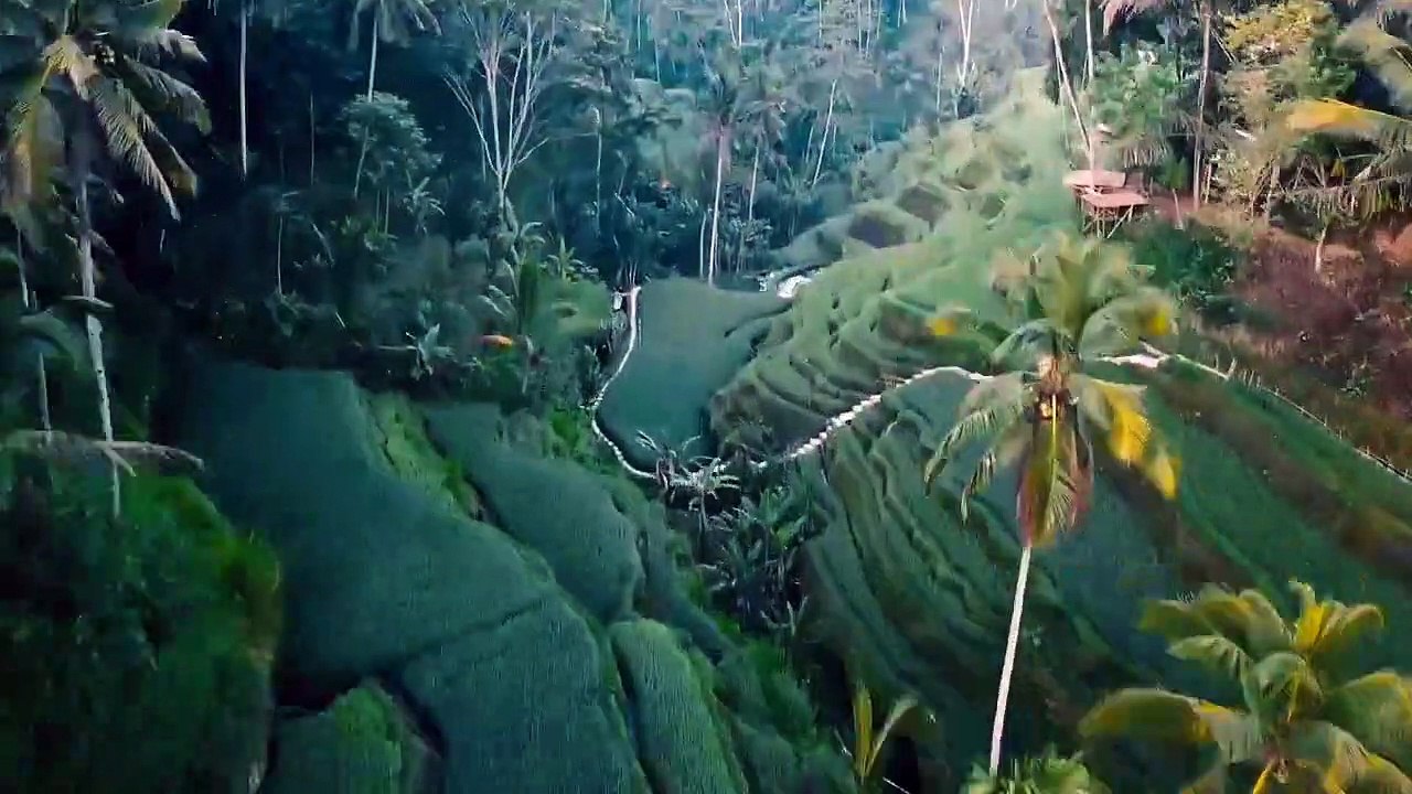 nature