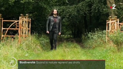 Nature : quand un baron irlandais décide de réensauvager ses terres