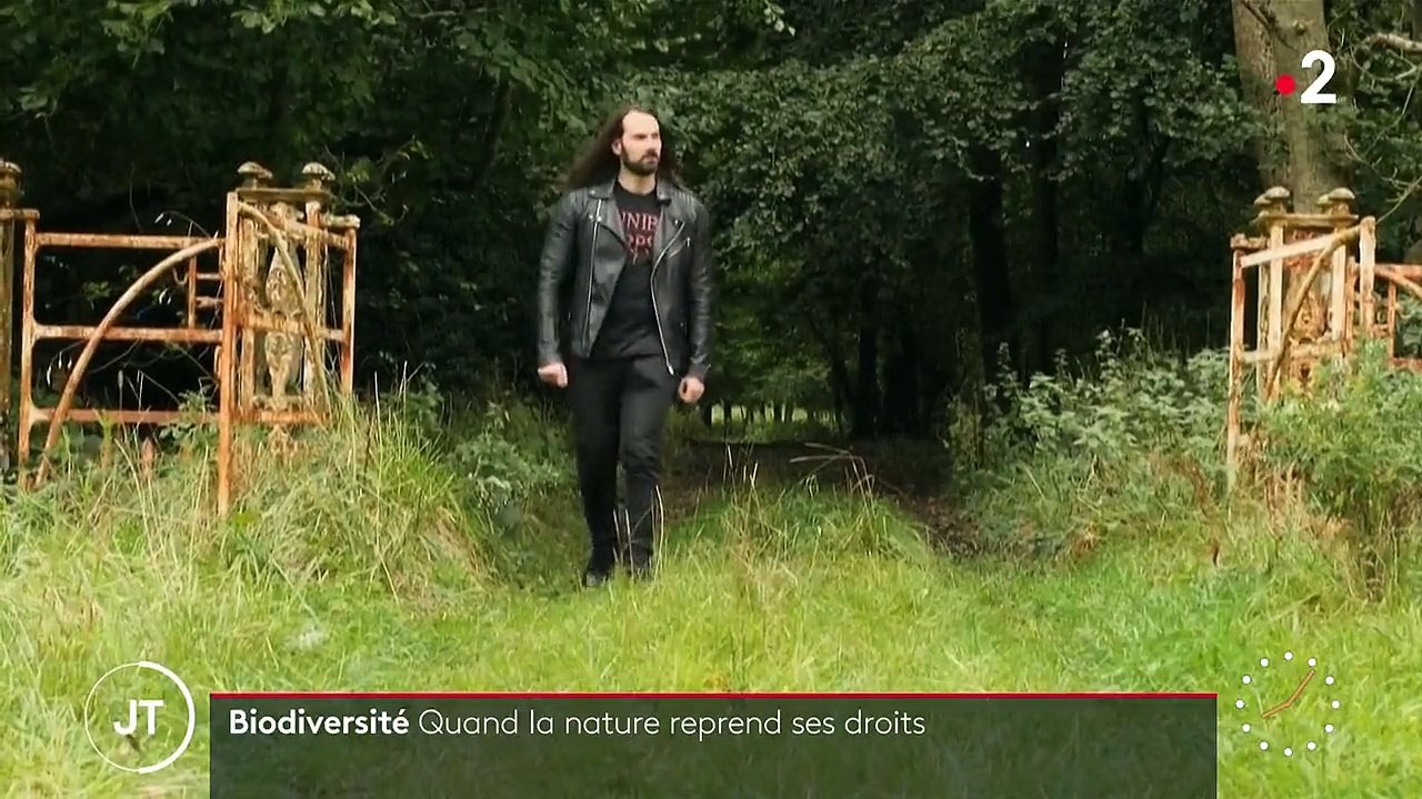 Nature : quand un baron irlandais décide de réensauvager ses terres