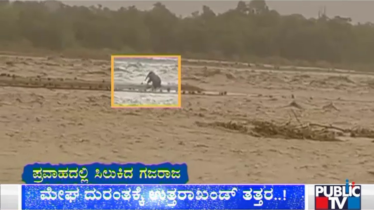 Uttarakhand Battered By Rain, Flooding: A Elephant Caught In The Flood