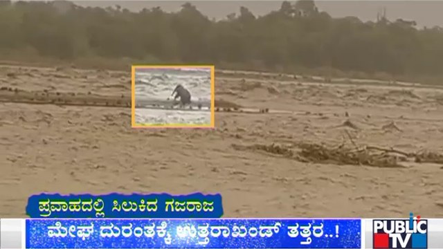 Uttarakhand Battered By Rain, Flooding: A Elephant Caught In The Flood