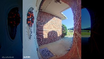 Kiddo Gets Spooked by Halloween Decoration