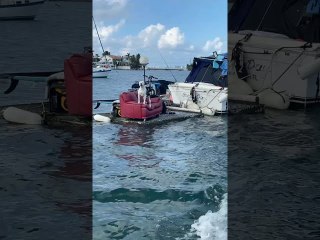 Guard Dog Protects Boat Passing By