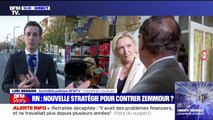 Vaucluse: Marine Le Pen à la rencontre d'adhérents du Rassemblement national