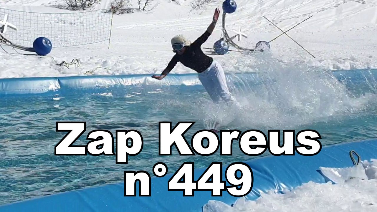 Zap Koreus n°449
