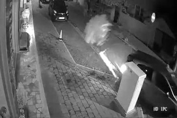 Otomobili park etmeye çalışırken kaldırımdaki ağacı böyle devirdi
