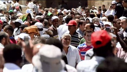 ...تصل الى مئة وخمسون نيوتن مقارنة ب فطر ال...